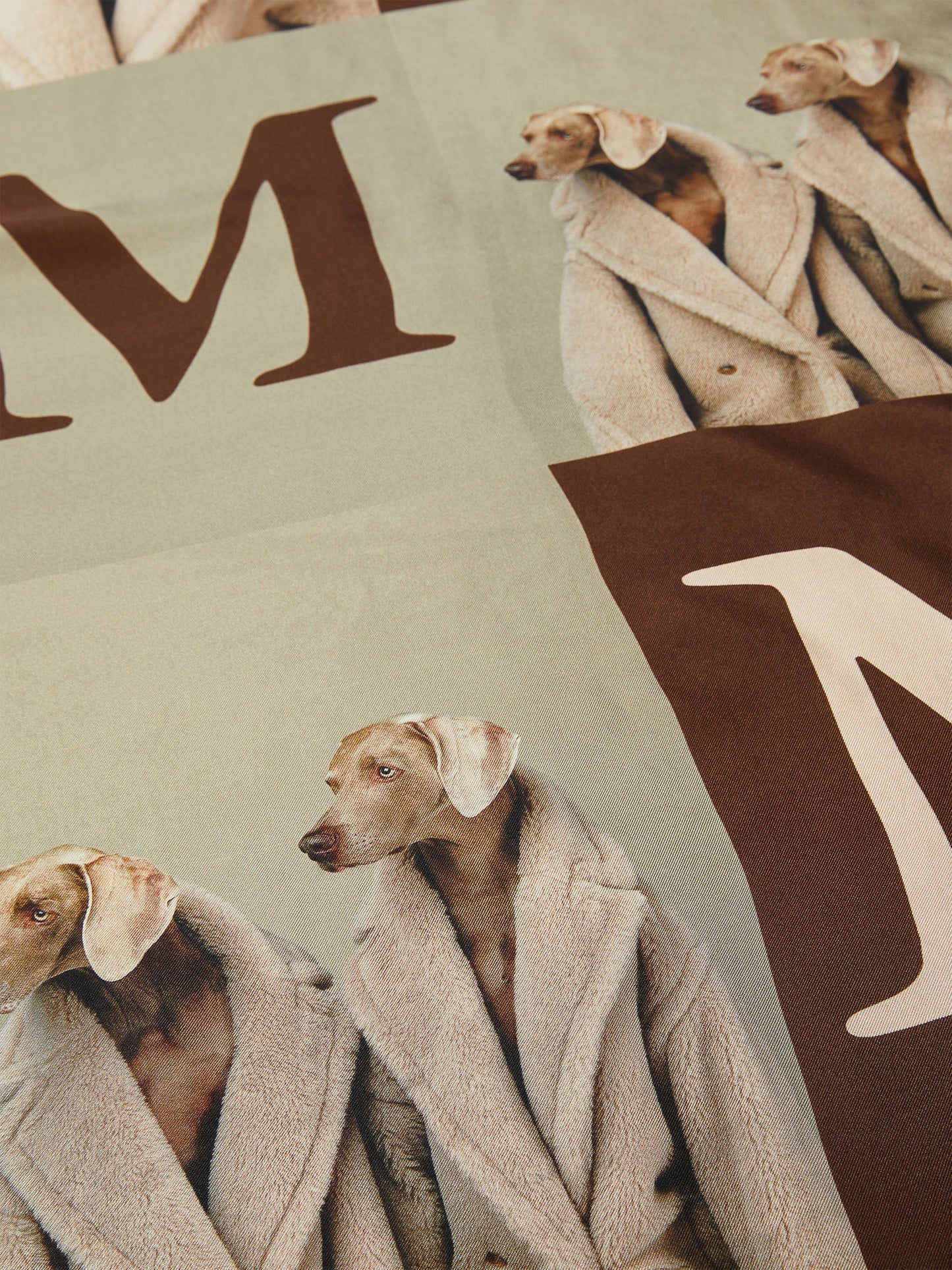 Printed silk scarf